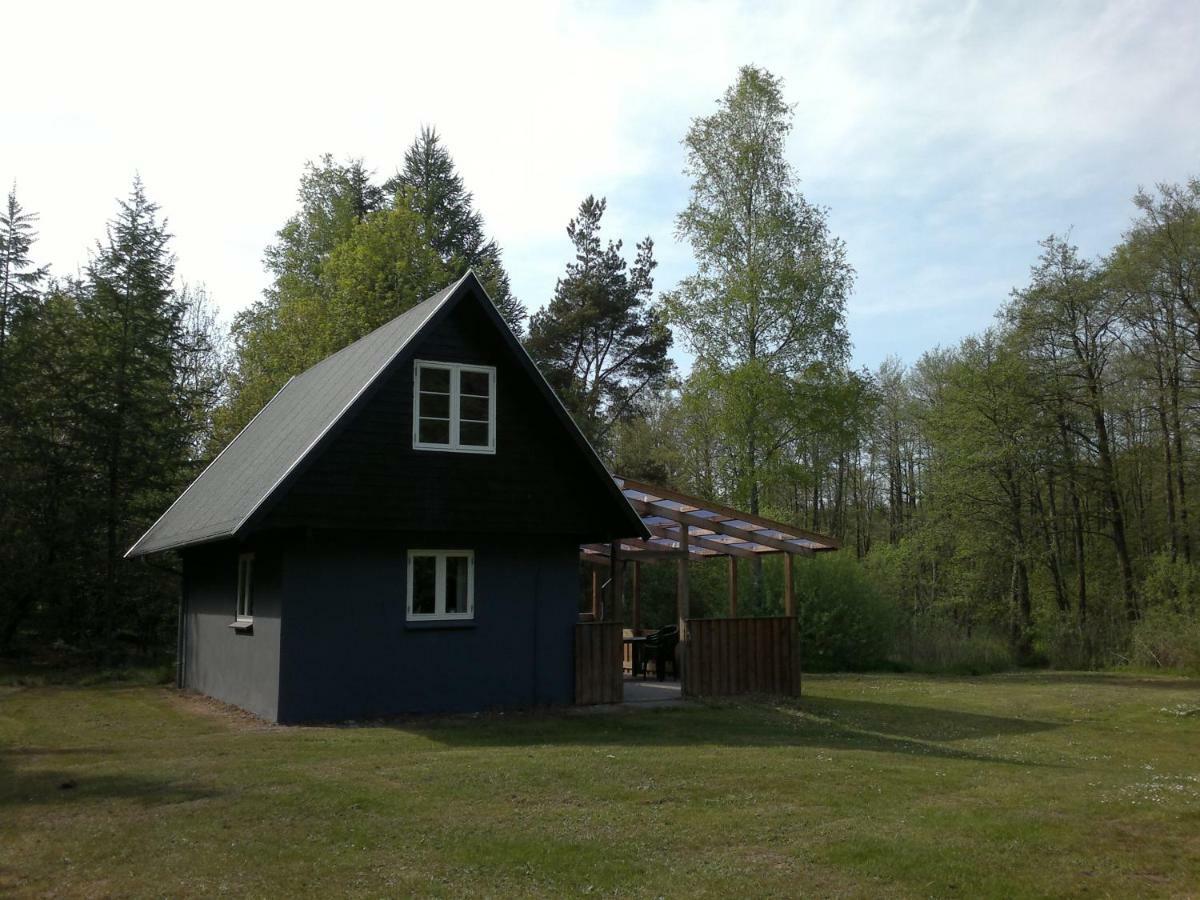 Вілла Nix At Gammel Rye Ry Екстер'єр фото